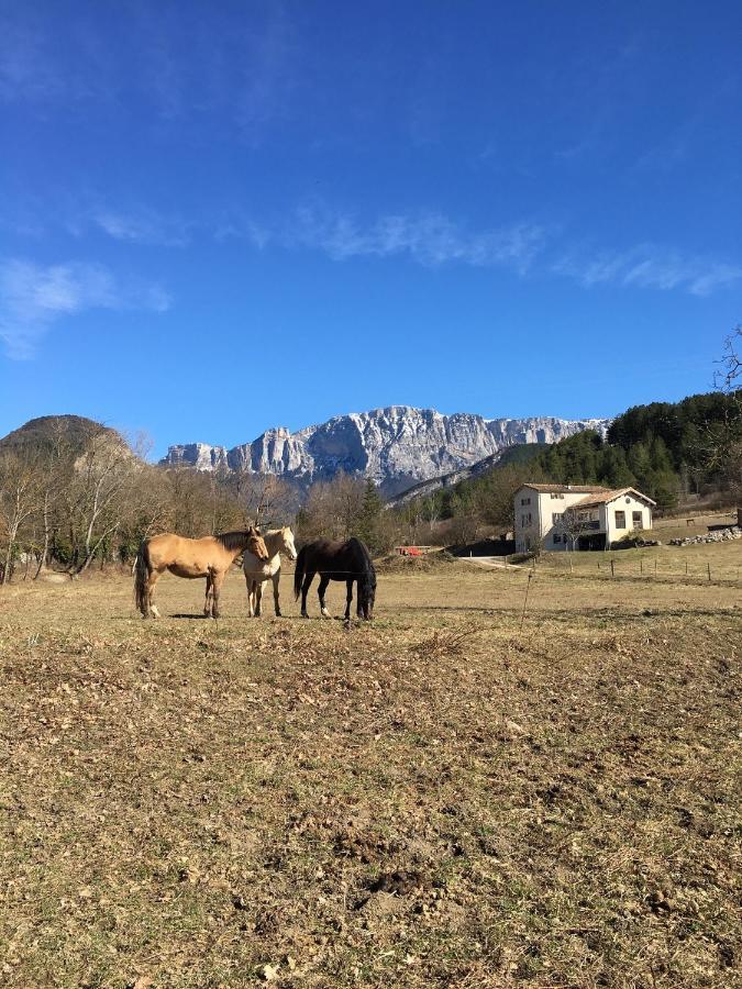 Gite D'etape D'aurouses * Die